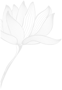demo-yoga-and-meditation-contact-bg.png