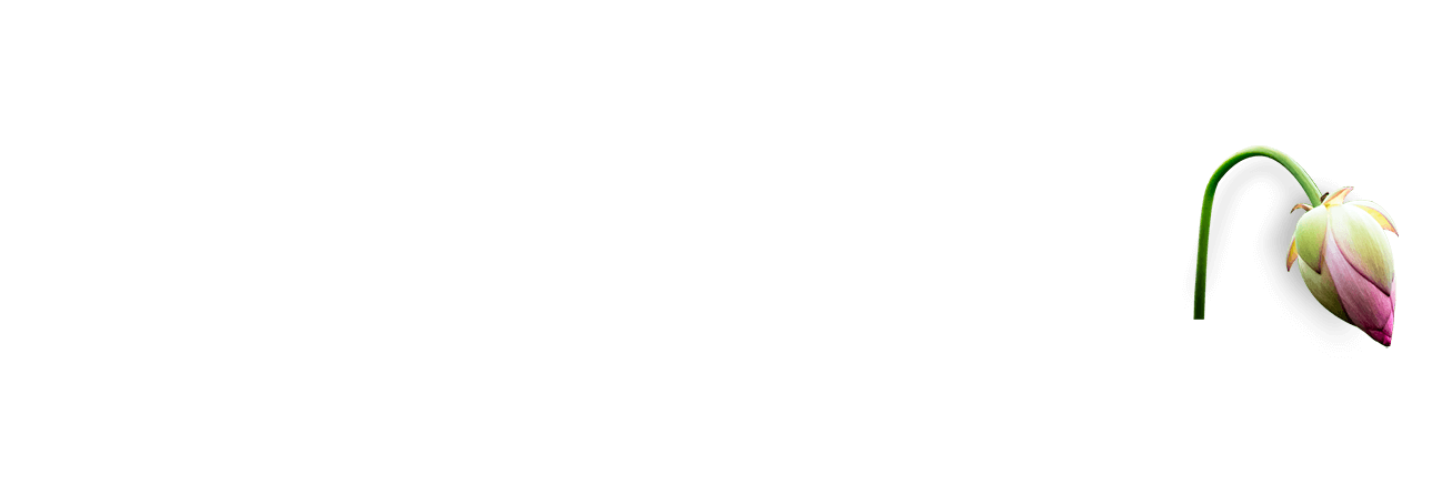 demo-yoga-and-meditation-slider-04