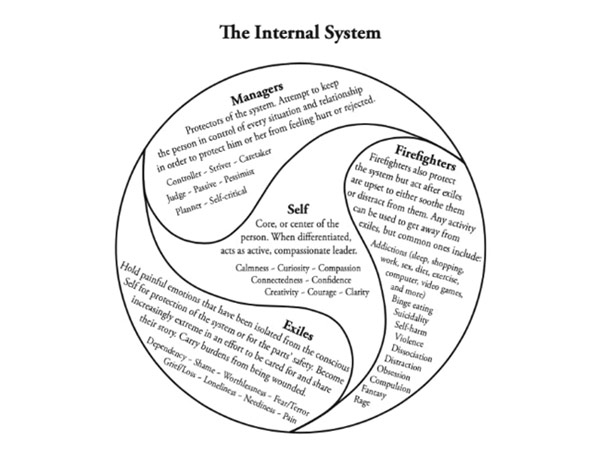 سیستم خانواده درون (IFS) 1 ifs-pink-mind-studio